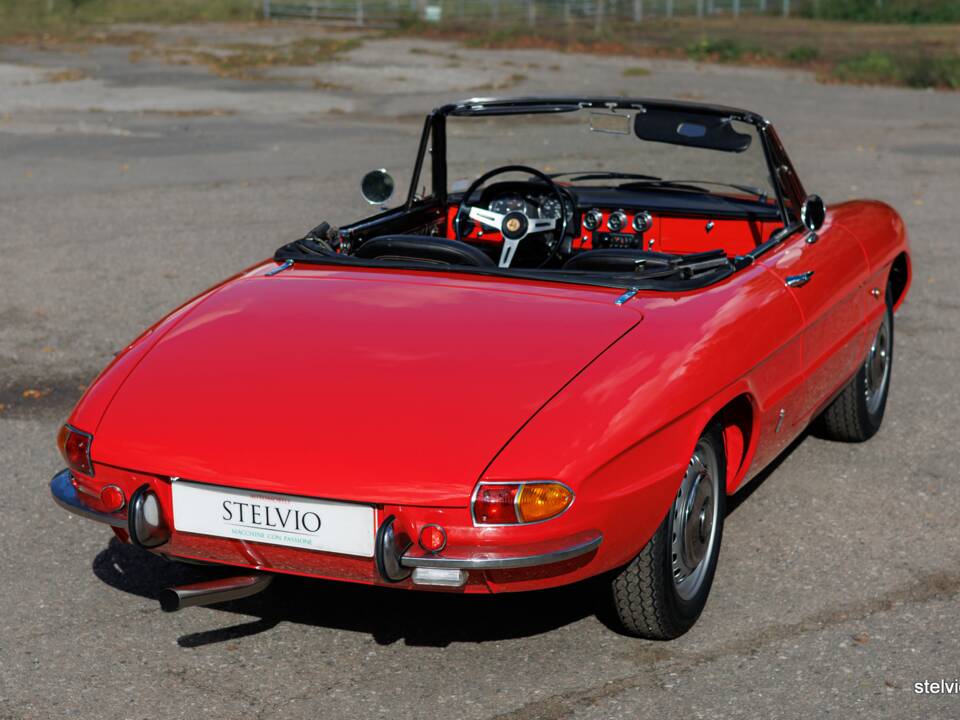 Afbeelding 12/50 van Alfa Romeo 1600 Spider Duetto (1967)