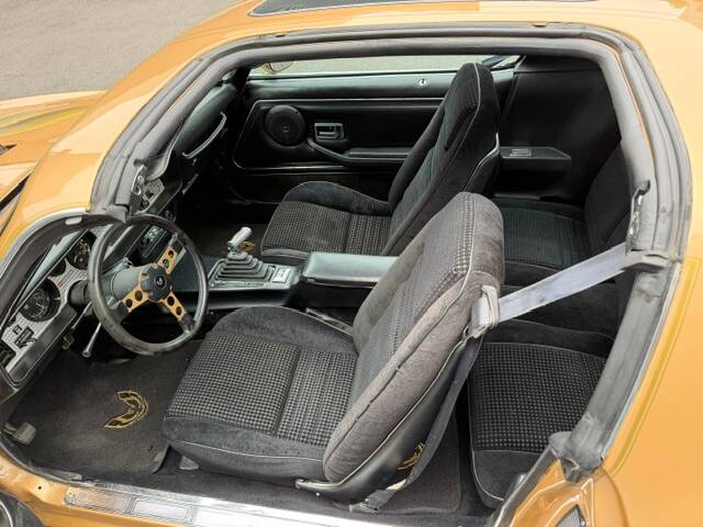 Image 10/21 of Pontiac Firebird TransAm (1979)
