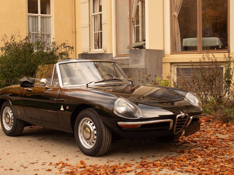 Image 39/51 of Alfa Romeo 1600 Spider Duetto (1966)
