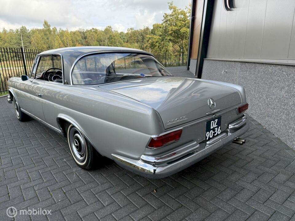 Afbeelding 8/36 van Mercedes-Benz 250 SE (1966)
