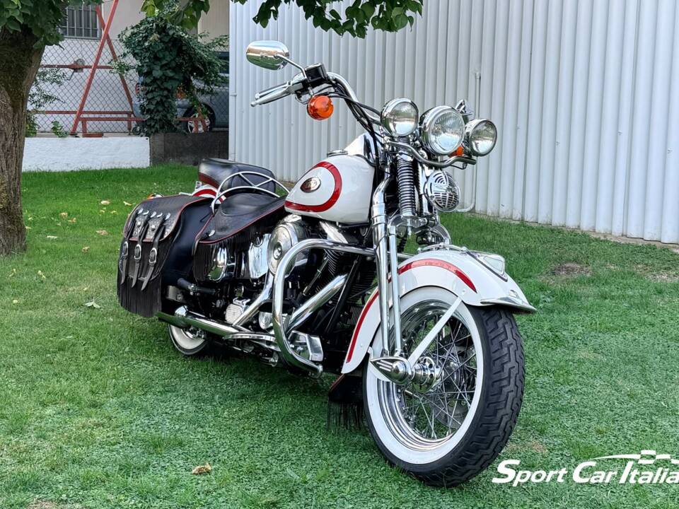 Immagine 45/50 di Harley-Davidson FLSTS 1340 Heritage Springer (1998)