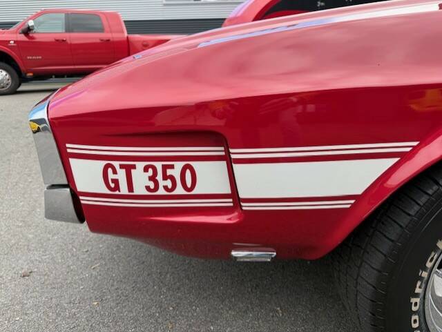 Image 25/31 of Ford Shelby GT 350 (1970)