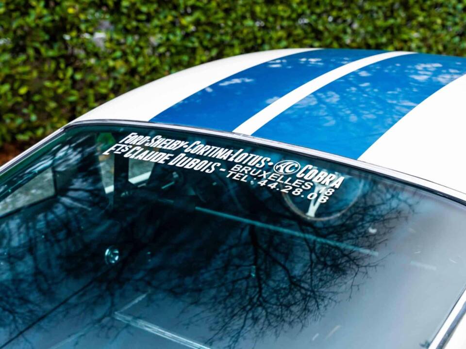 Image 14/27 of Ford Shelby GT 350 (1966)