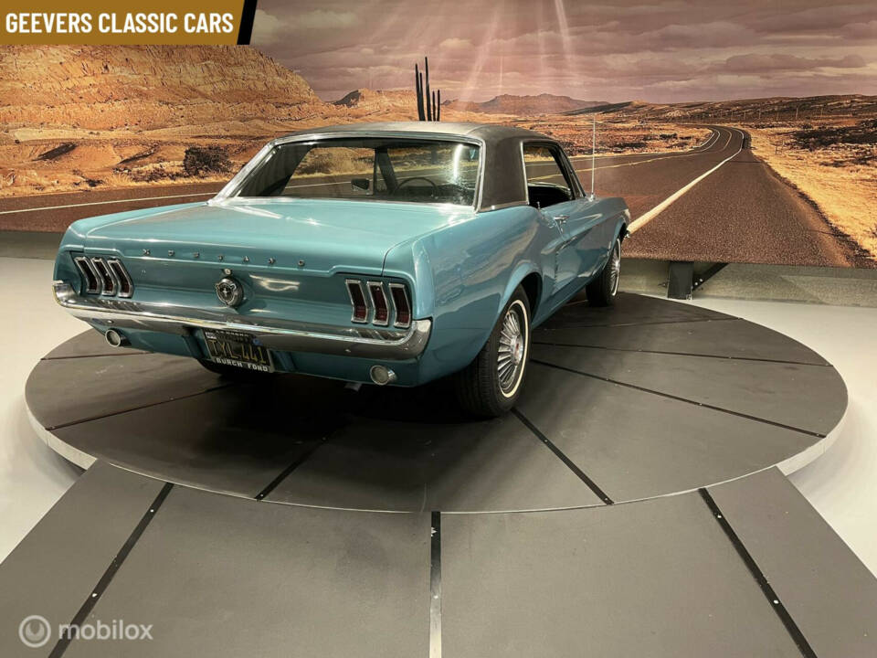 Bild 7/50 von Ford Mustang 289 (1967)