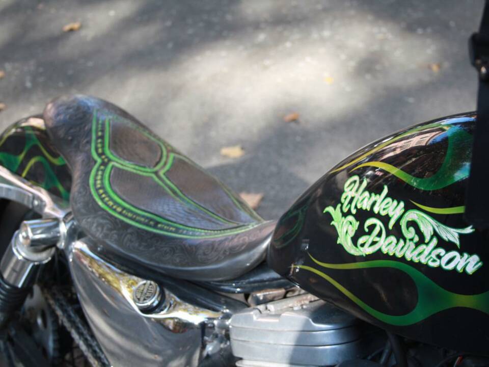 Immagine 5/50 di Harley-Davidson DUMMY (1995)