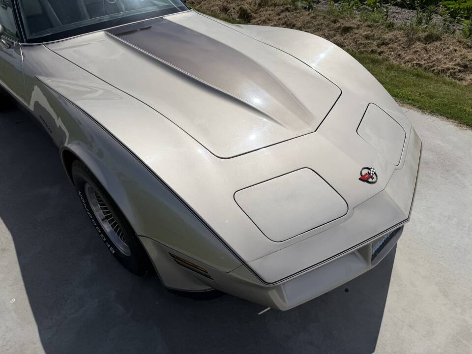 Afbeelding 7/50 van Chevrolet Corvette Collector Edition (1982)