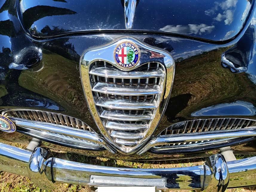 Image 26/90 de Alfa Romeo 1900 Super Berlina (1954)