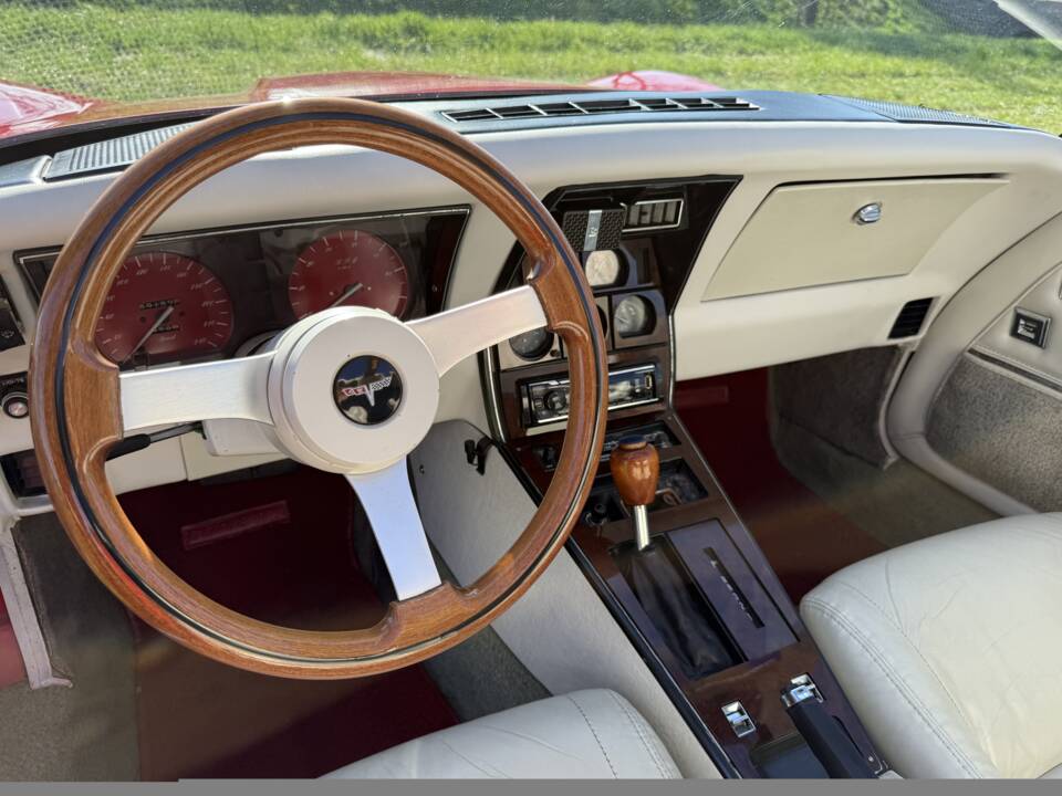 Image 12/20 of Chevrolet Corvette Sting Ray (1980)