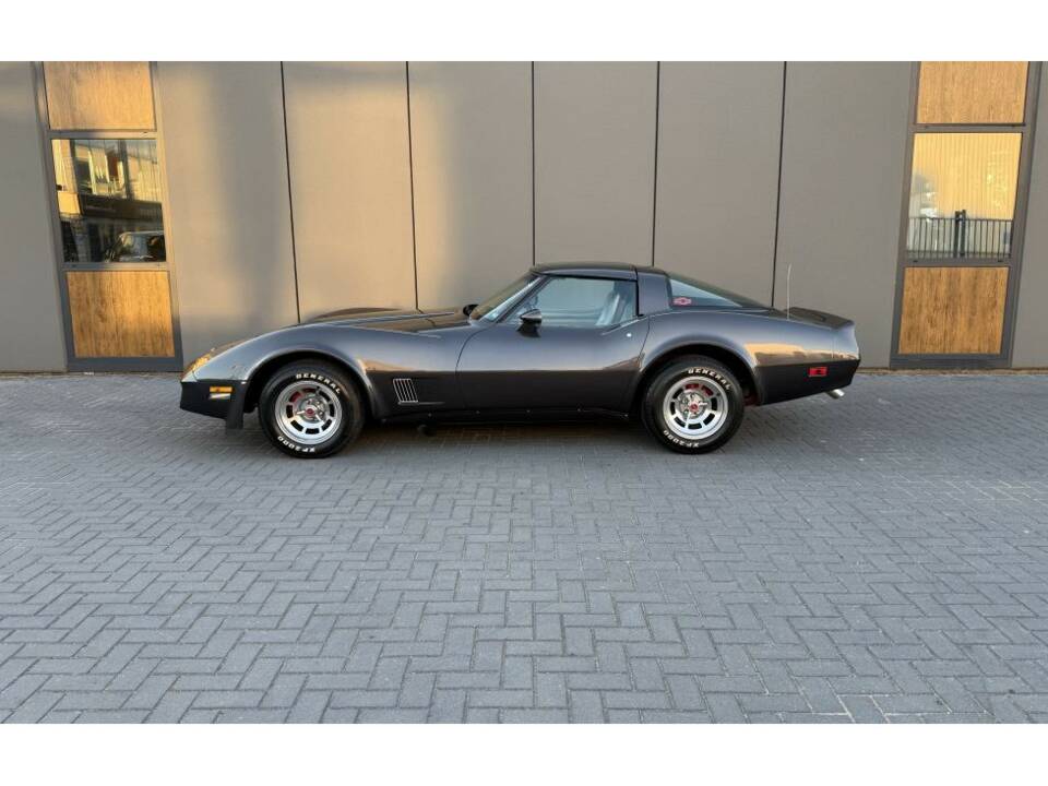 Bild 4/14 von Chevrolet Corvette Sting Ray (1981)