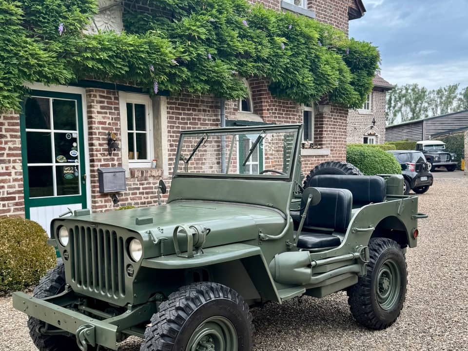 Immagine 17/20 di Jeep Willys-Overland CJ-3A (1950)