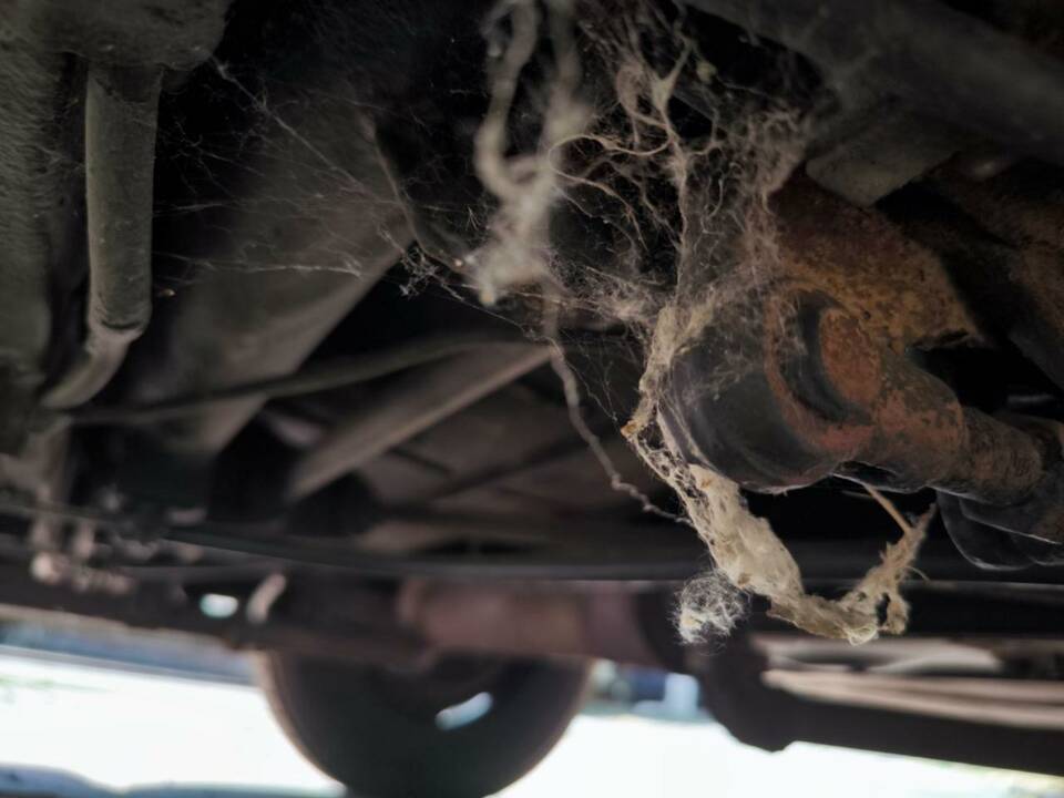 Image 25/30 of Citroën Traction Avant 11 B (1955)