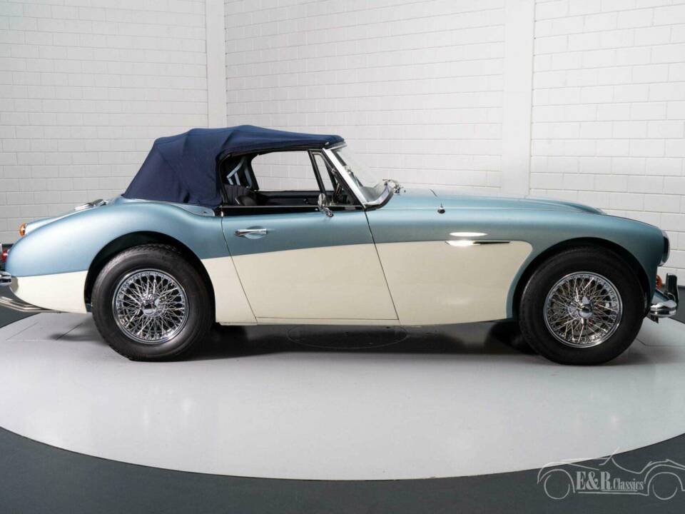 Afbeelding 9/19 van Austin-Healey 3000 Mk III (BJ8) (1966)