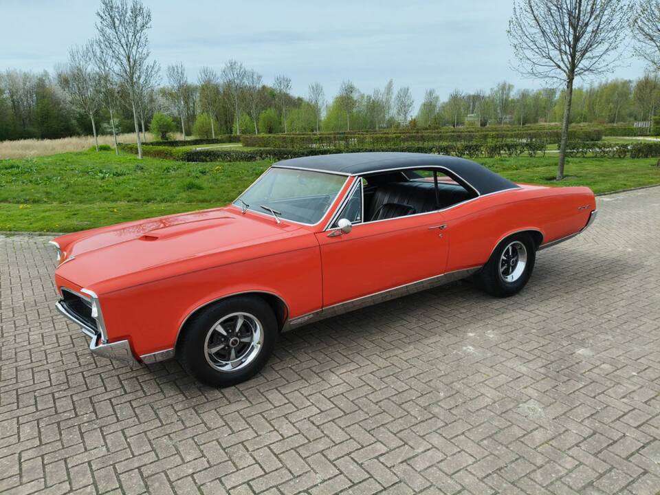 Imagen 5/8 de Pontiac GTO Bobcat (1967)