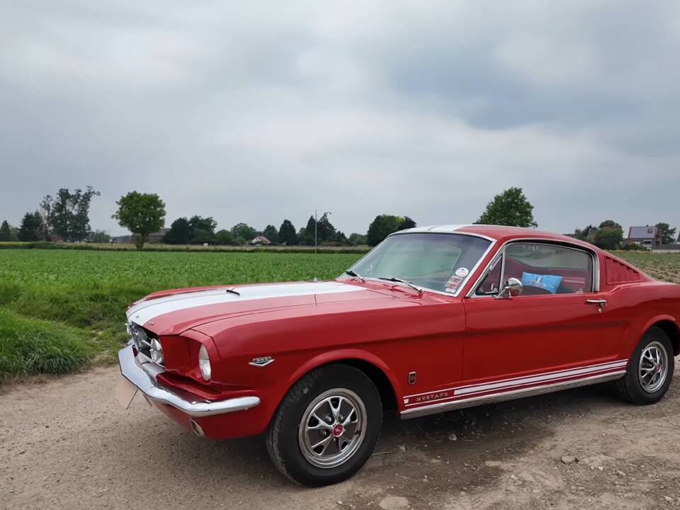 Bild 6/12 von Ford Mustang 289 (1965)