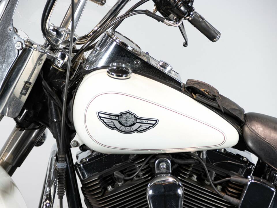 Bild 40/50 von Harley-Davidson DUMMY (2003)