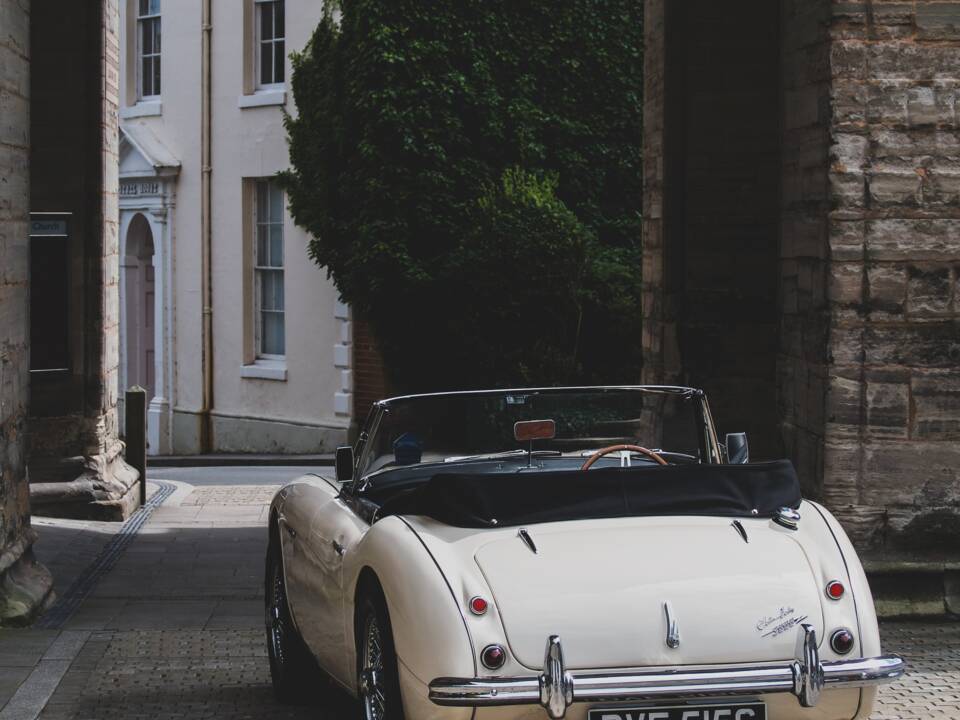 Bild 15/18 von Austin-Healey 3000 Mk II (BJ7) (1963)