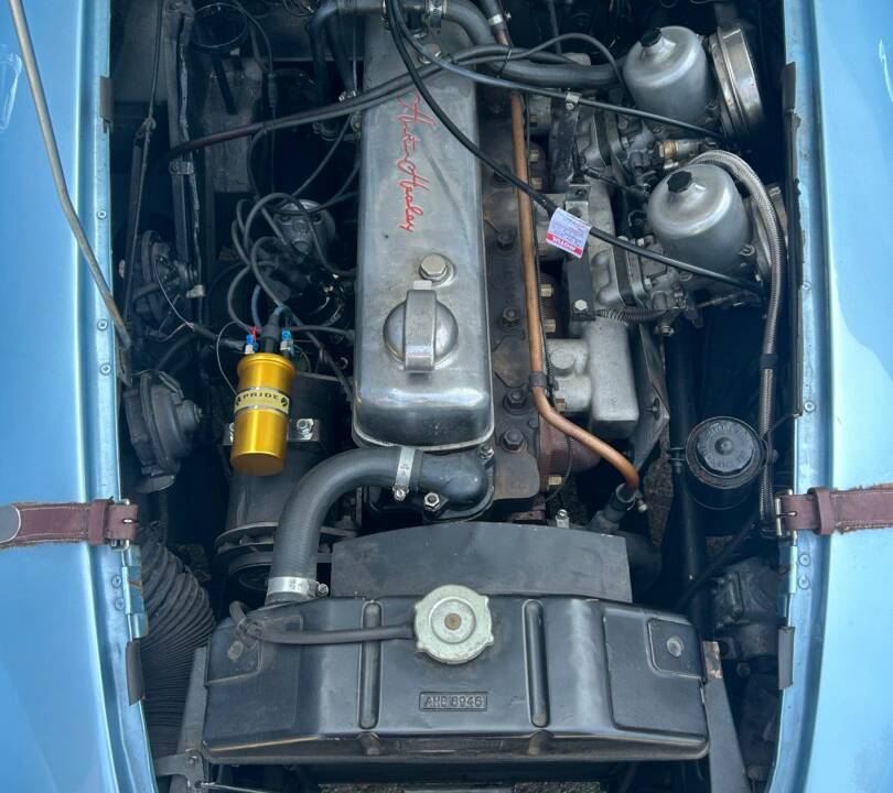 Afbeelding 11/11 van Austin-Healey 3000 Mk III (BJ8) (1965)