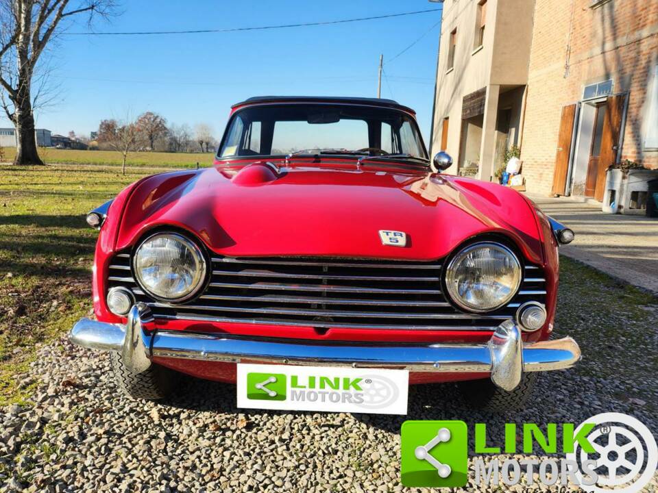Immagine 2/10 di Triumph TR 5 PI (1968)
