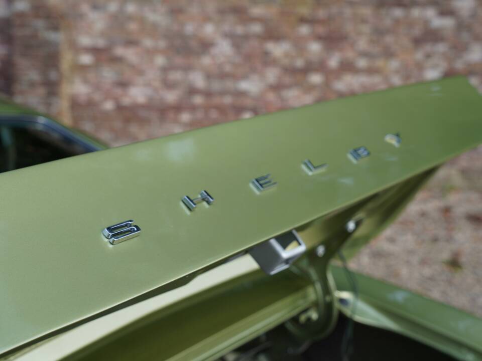 Afbeelding 30/50 van Ford Shelby GT 350 (1968)