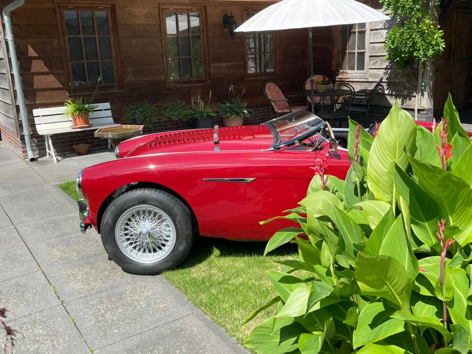 Immagine 10/56 di Austin-Healey 100&#x2F;4 (BN1) (1955)