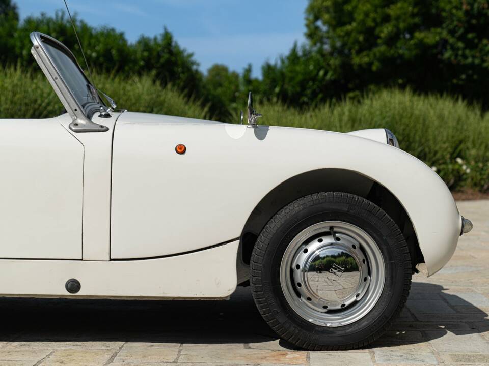 Image 23/50 of Austin-Healey Sprite Mk I (1958)