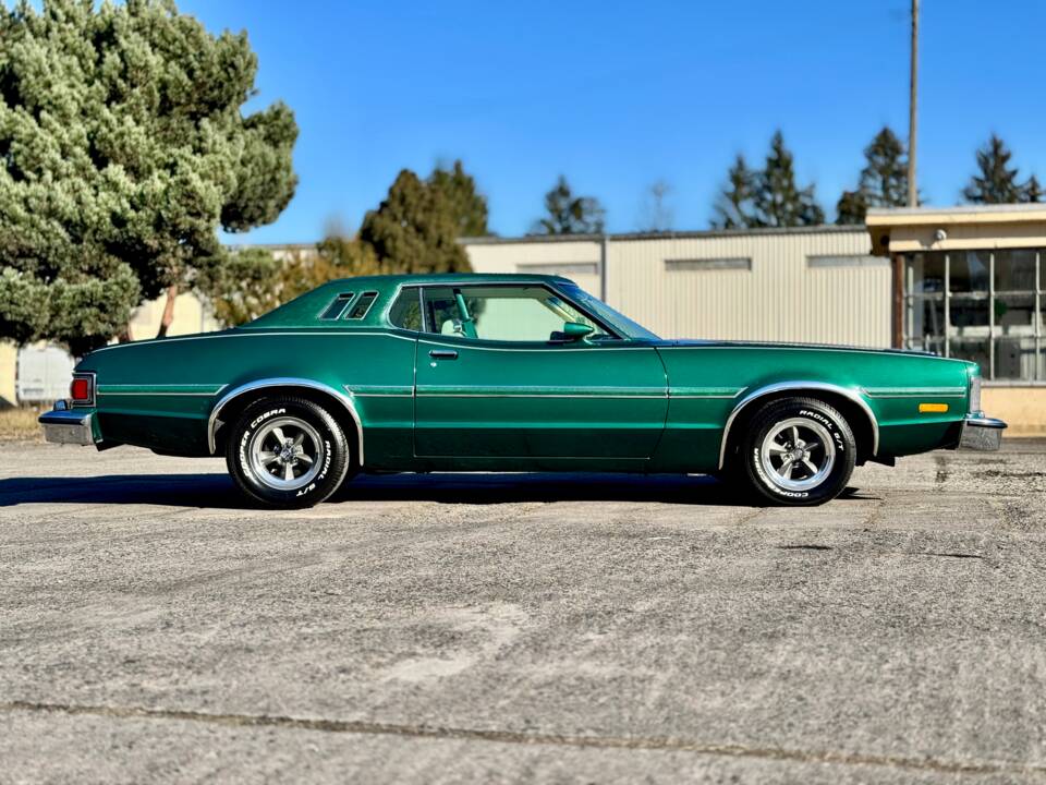 Image 4/19 of Ford Elite (1976)