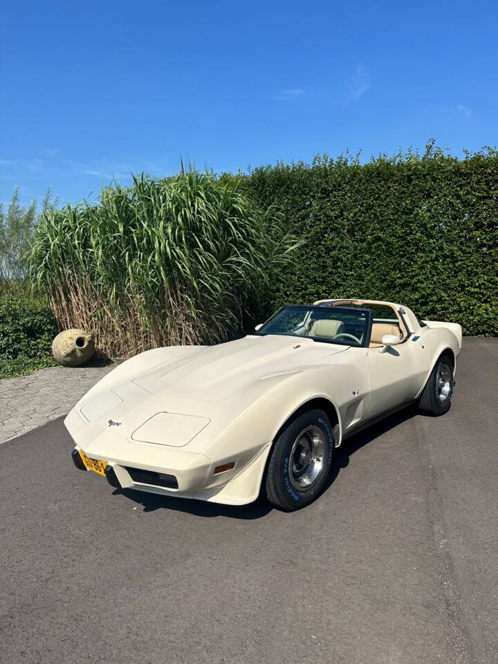 Image 1/21 de Chevrolet Corvette Stingray (1977)