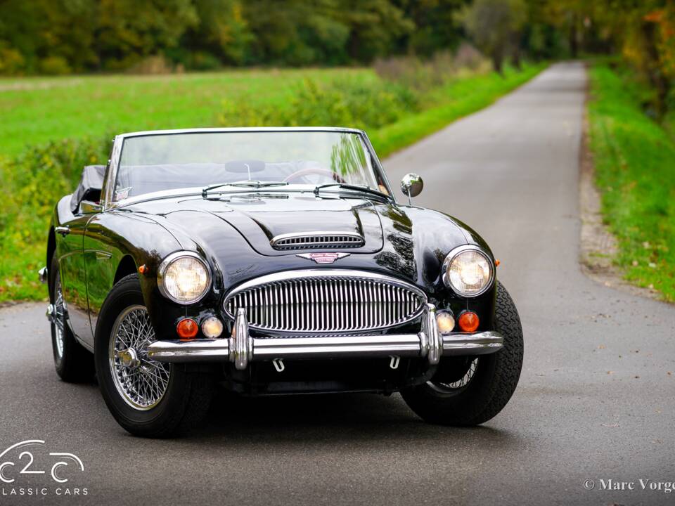 Image 50/51 of Austin-Healey 3000 Mk III (BJ8) (1967)
