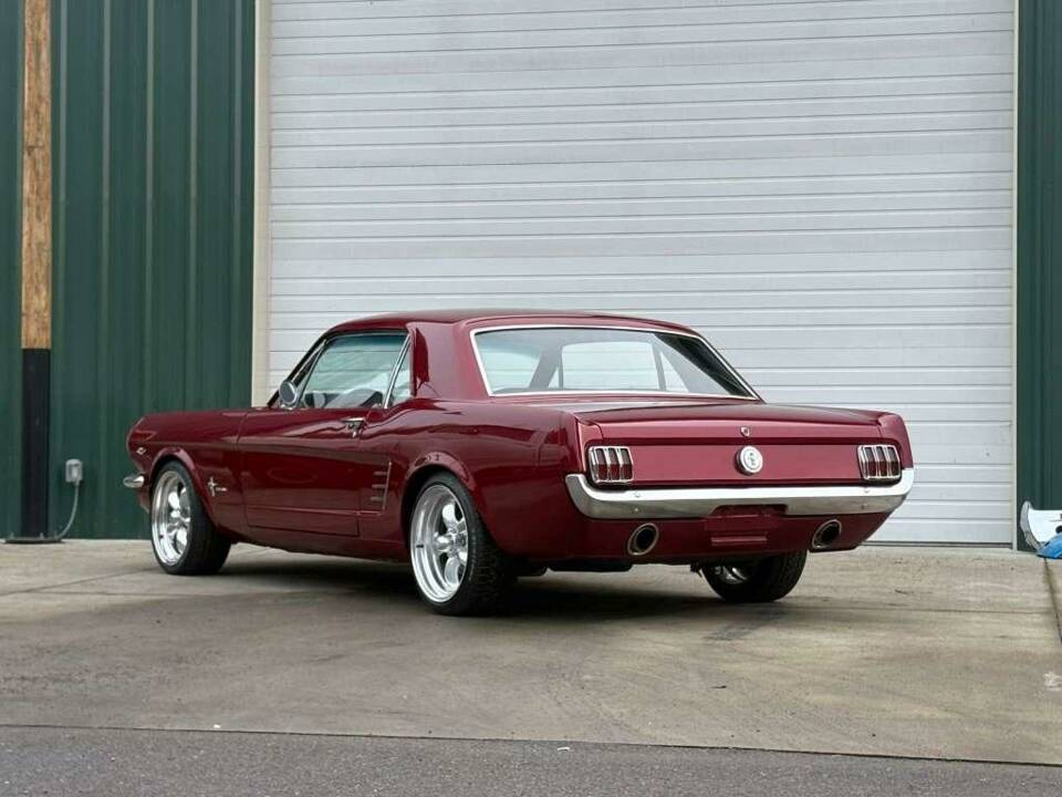 Bild 18/47 von Ford Shelby GT 350 (1966)
