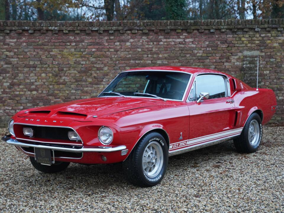 Image 1/50 de Ford Shelby GT 350 (1968)