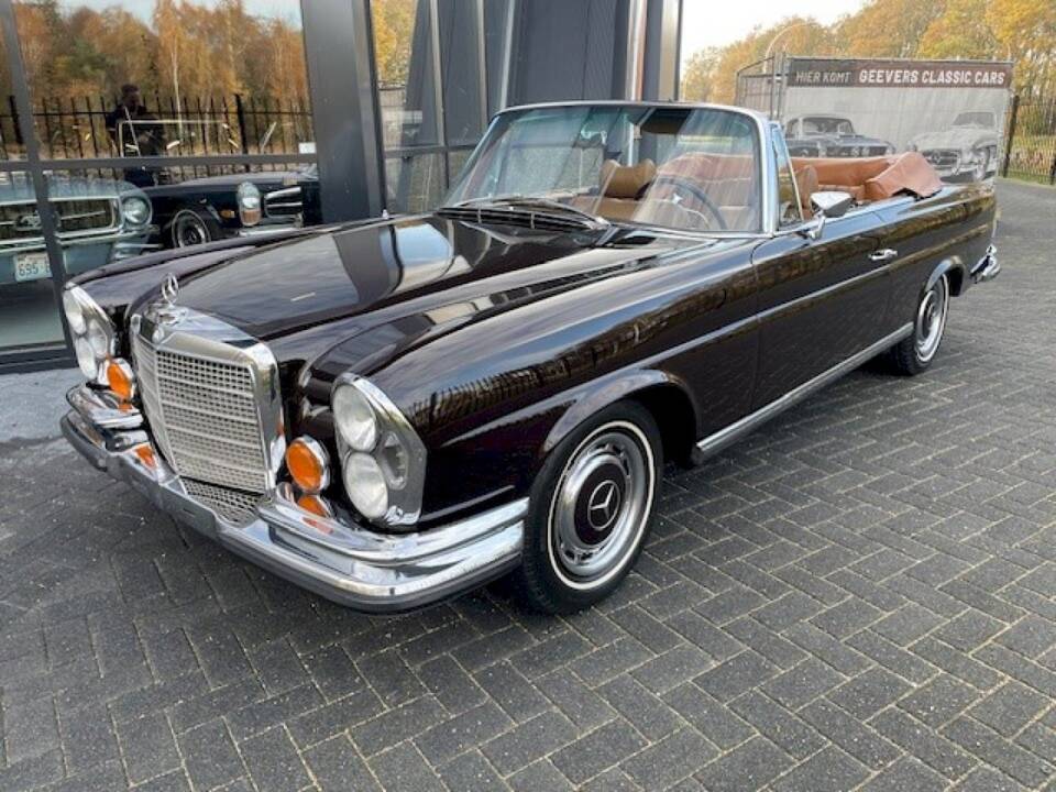 Image 36/37 of Mercedes-Benz 280 SE 3,5 (1970)