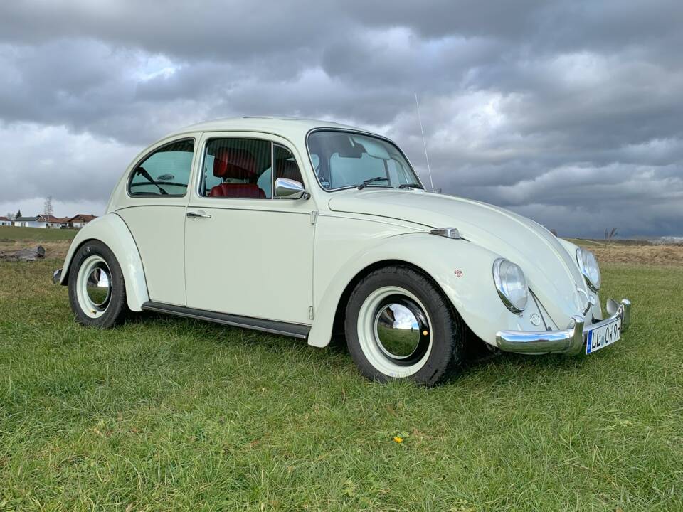 Bild 1/56 von Volkswagen Käfer 1300 (1968)