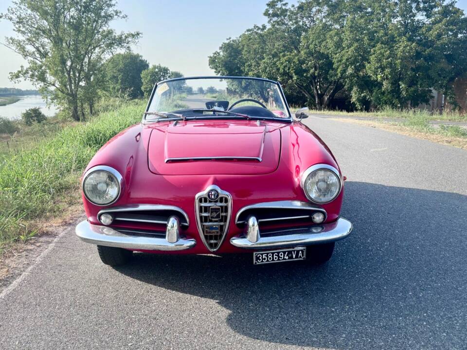 Image 8/8 of Alfa Romeo Giulia 1600 Spider (1962)