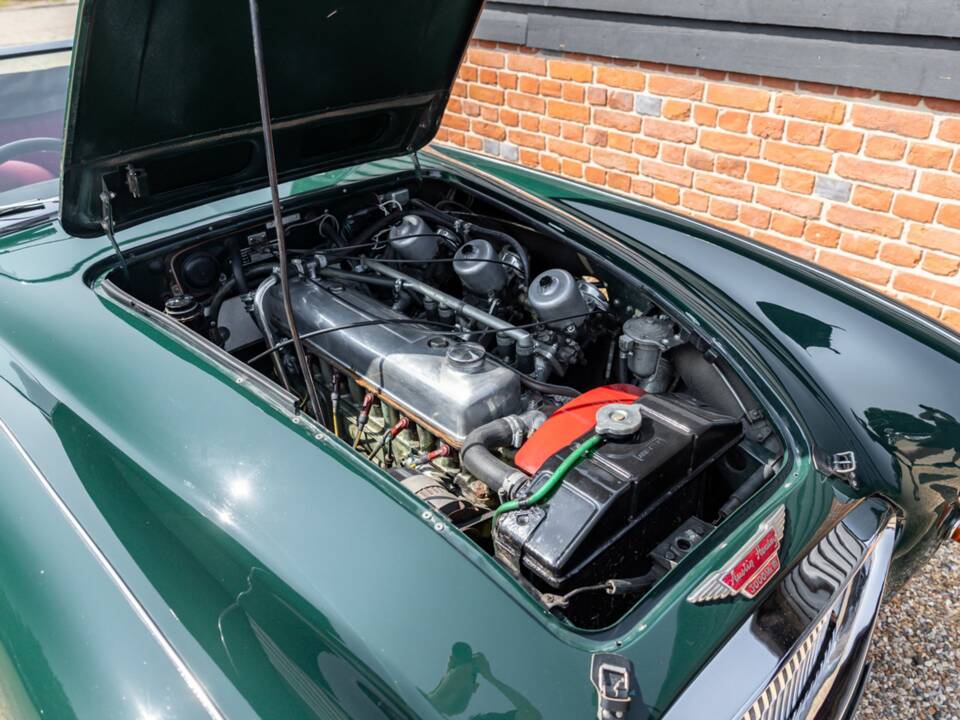 Bild 10/50 von Austin-Healey 3000 Mk III (BJ8) (1964)