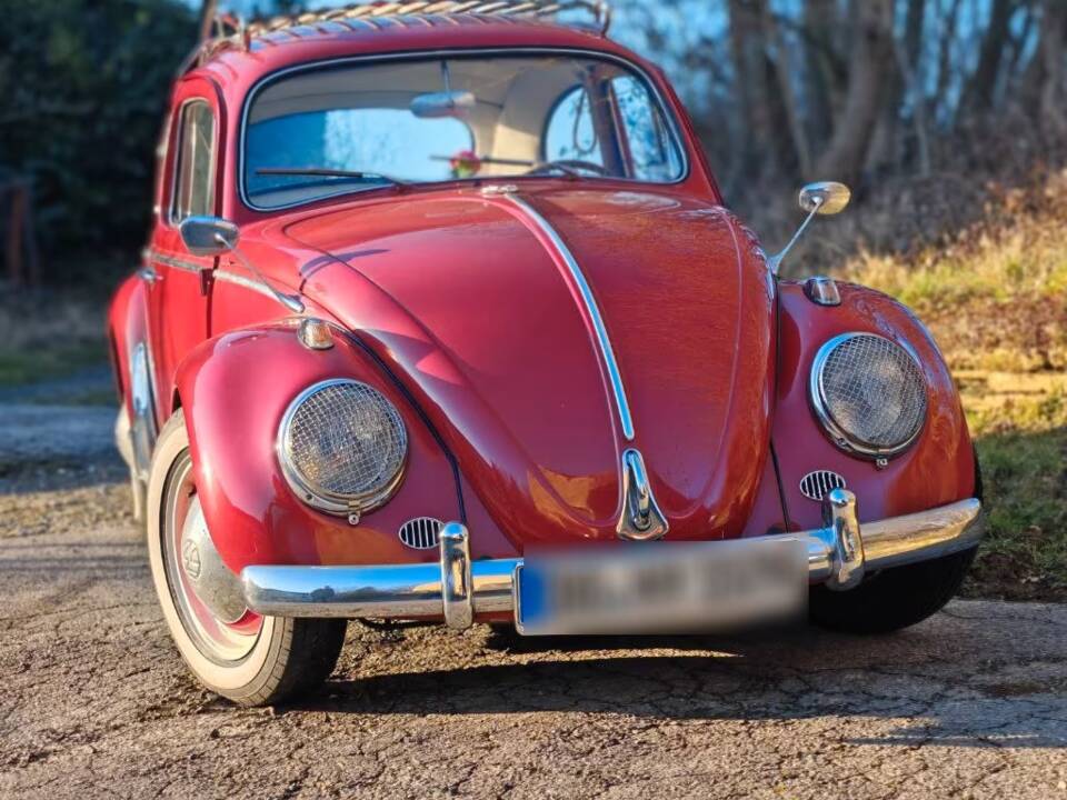 Bild 1/16 von Volkswagen Käfer 1200 Export "Dickholmer" (1963)