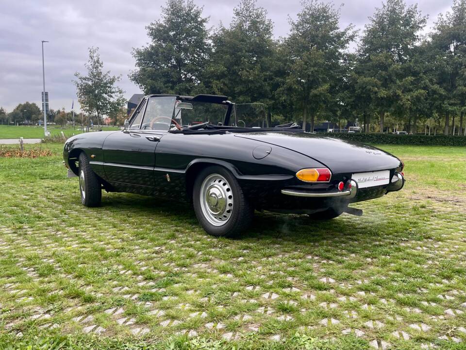 Bild 10/24 von Alfa Romeo 1600 Duetto (1966)