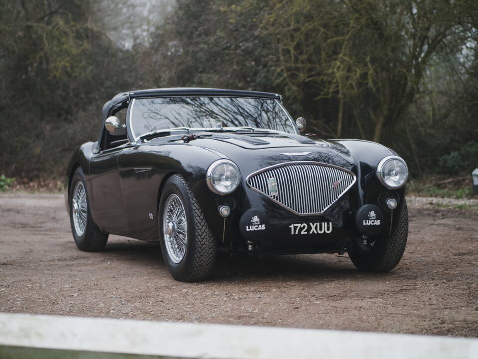 Image 14/53 de Austin-Healey 100/4 (BN2) (1955)