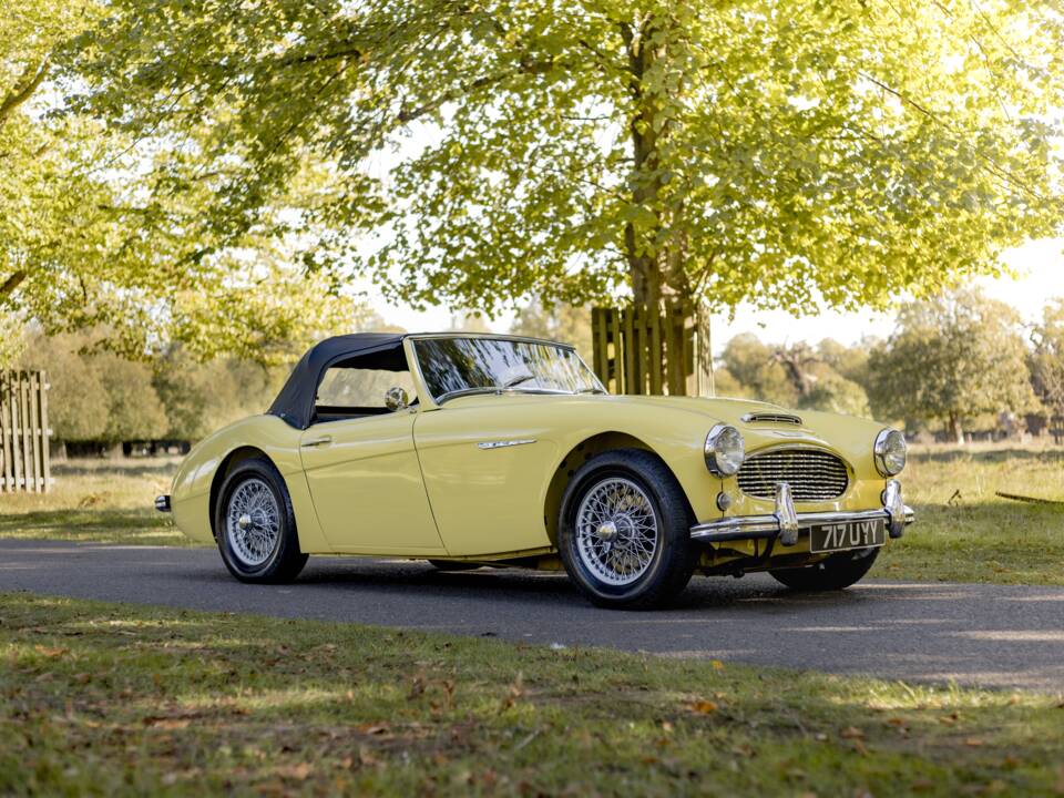Bild 6/50 von Austin-Healey 3000 Mk I (BT7) (1960)