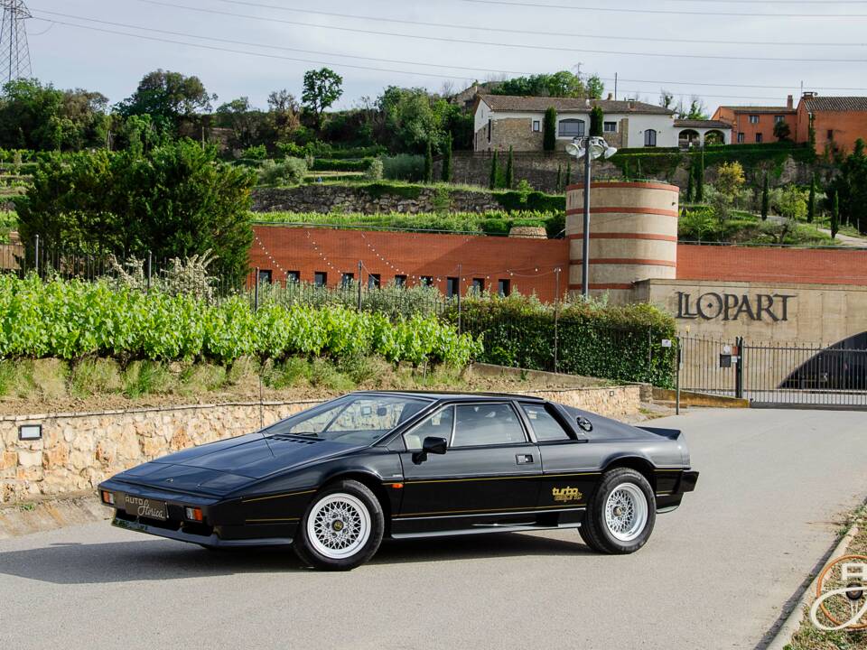 Afbeelding 1/16 van Lotus Esprit Turbo (1987)