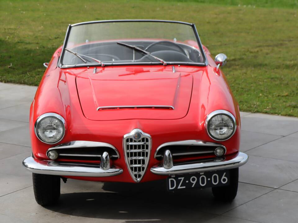 Bild 6/50 von Alfa Romeo Giulia 1600 Spider Veloce (1965)