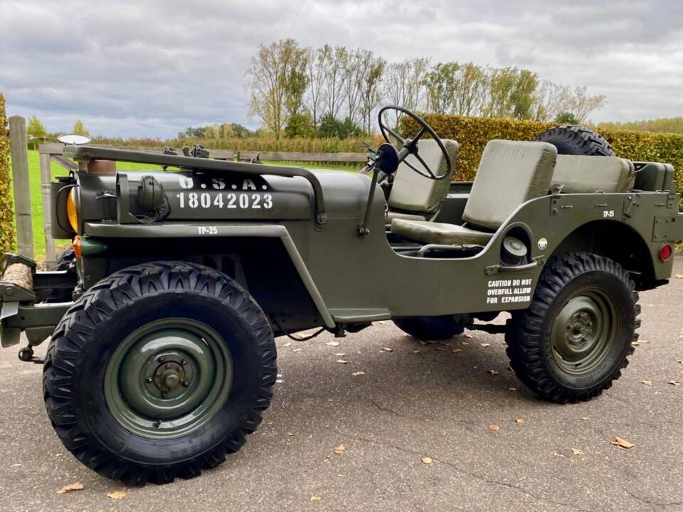 Immagine 5/16 di Willys Jeep M38 A1 (1952)