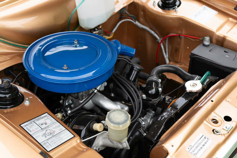 Bild 6/42 von Ford Escort 1300 (1975)