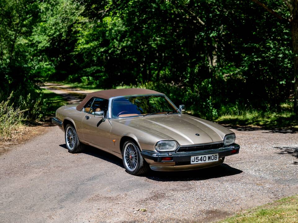 Afbeelding 17/50 van Jaguar XJS 6.0 V12 (1992)