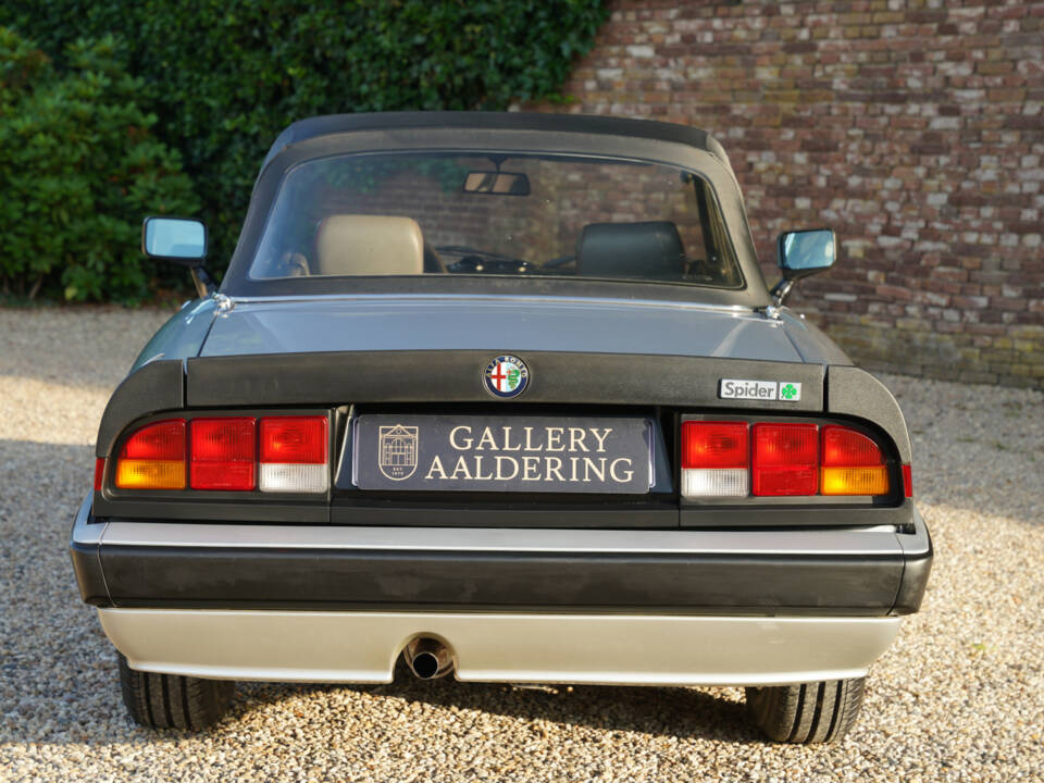 Bild 6/50 von Alfa Romeo 2.0 Spider QV (1987)