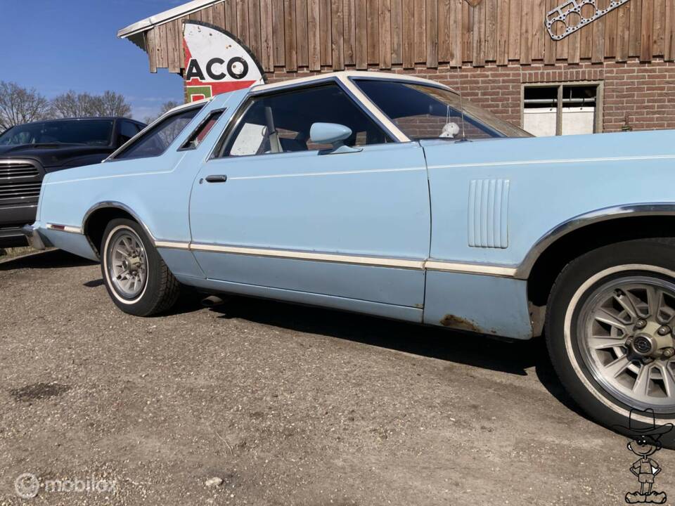 Afbeelding 5/29 van Ford Thunderbird (1979)
