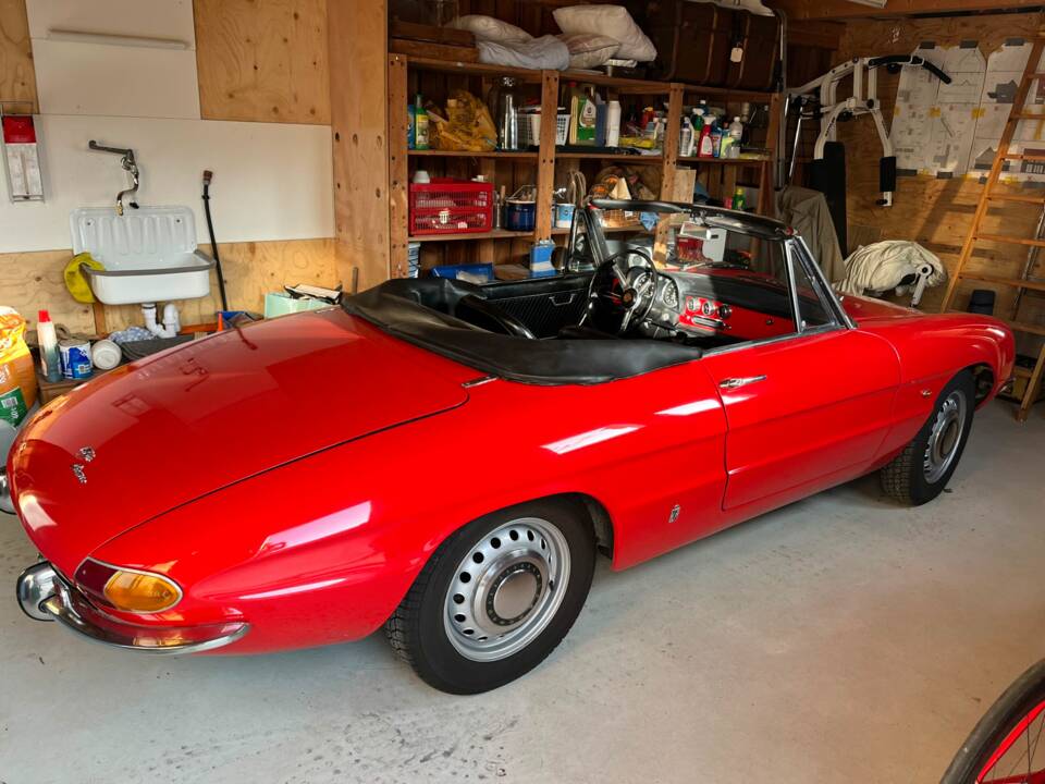 Immagine 5/8 di Alfa Romeo 1600 Spider Duetto (1967)