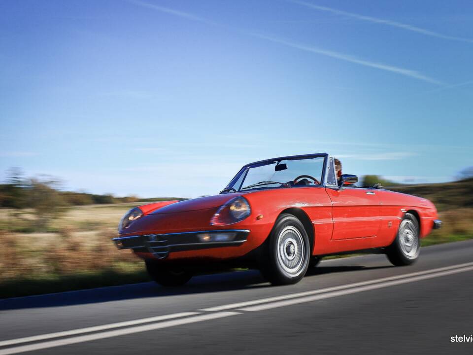 Image 39/43 of Alfa Romeo Spider Veloce 2000 (1976)