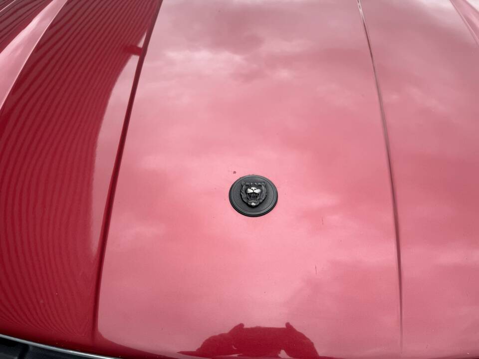 Image 6/64 of Jaguar XJ-S Convertible (1989)
