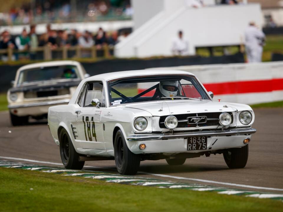 Image 18/20 of Ford Mustang Notchback (1965)