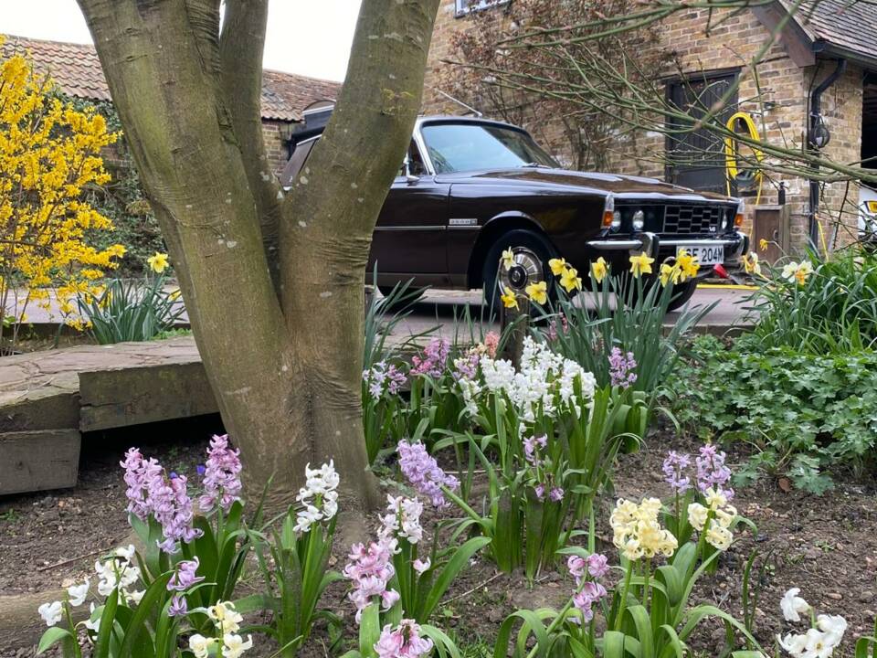 Bild 13/18 von Rover 3500 S (1974)